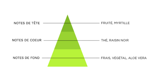 pyramide-olfactive-7-pechers-avarice.jpg