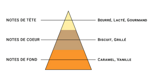 pyramide-olfactive-7-pechers-avarice.jpg