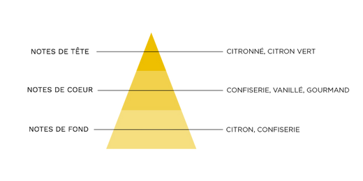 pyramide-olfactive-7-pechers-avarice.jpg