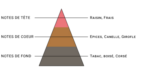 pyramide-olfactive-7-pechers-avarice.jpg