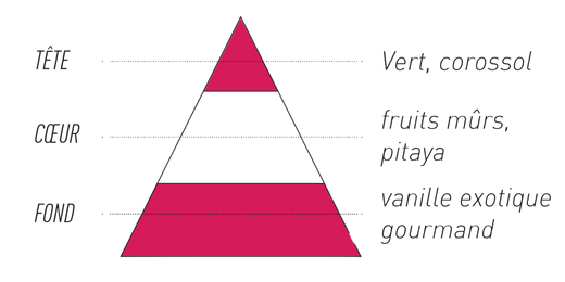 pyramide-olfactive-7-pechers-avarice.jpg
