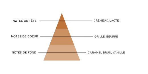 pyramide-olfactive-7-pechers-avarice.jpg