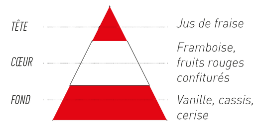 pyramide-olfactive-7-pechers-avarice.jpg