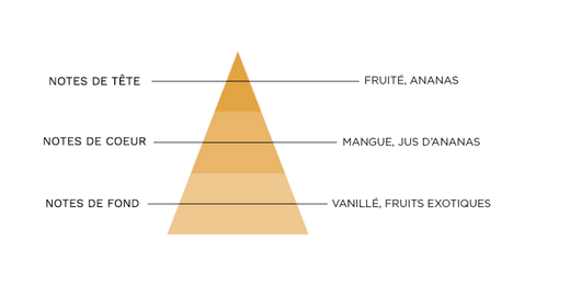 pyramide-olfactive-7-pechers-avarice.jpg