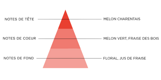 pyramide-olfactive-7-pechers-avarice.jpg