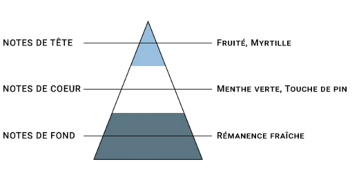 pyramide-olfactive-7-pechers-avarice.jpg