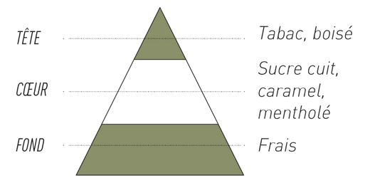 pyramide-olfactive-7-pechers-avarice.jpg