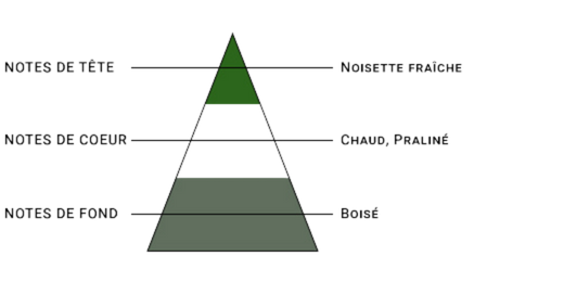 pyramide-olfactive-7-pechers-avarice.jpg