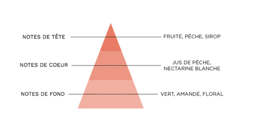 pyramide-olfactive-7-pechers-avarice.jpg