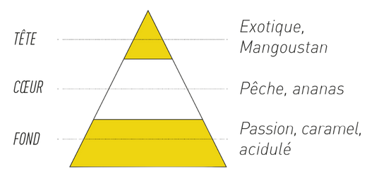 pyramide-olfactive-7-pechers-avarice.jpg