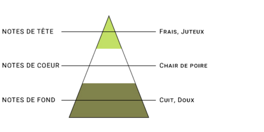 pyramide-olfactive-7-pechers-avarice.jpg