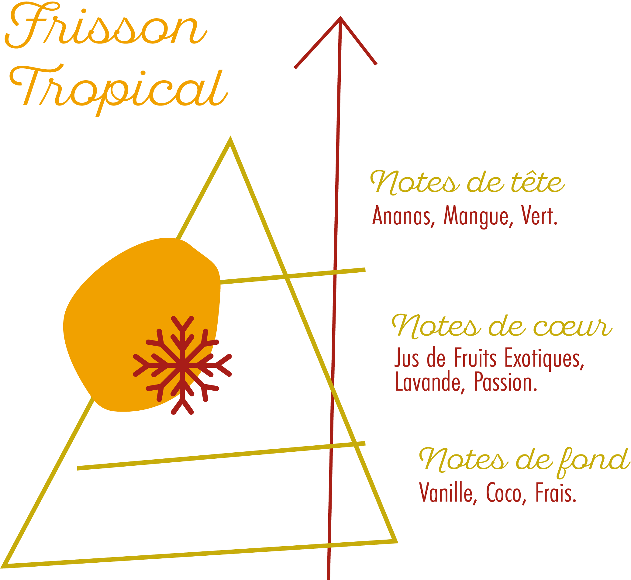Pyramide Olfactive Souffle Frais.png