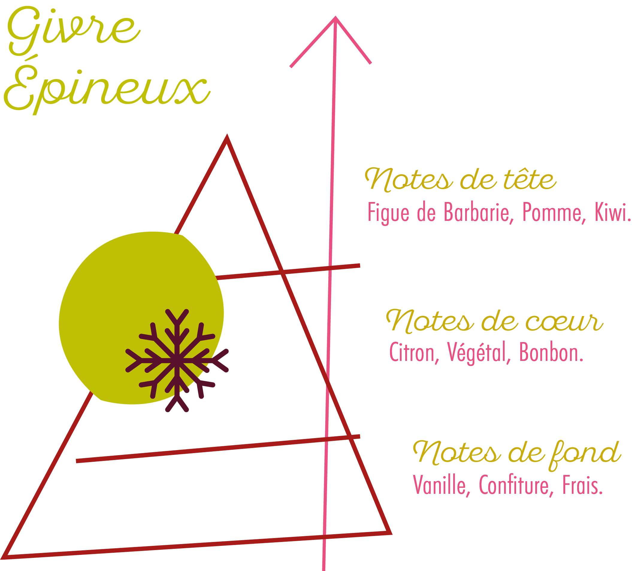 Pyramide Olfactive Souffle Frais.png