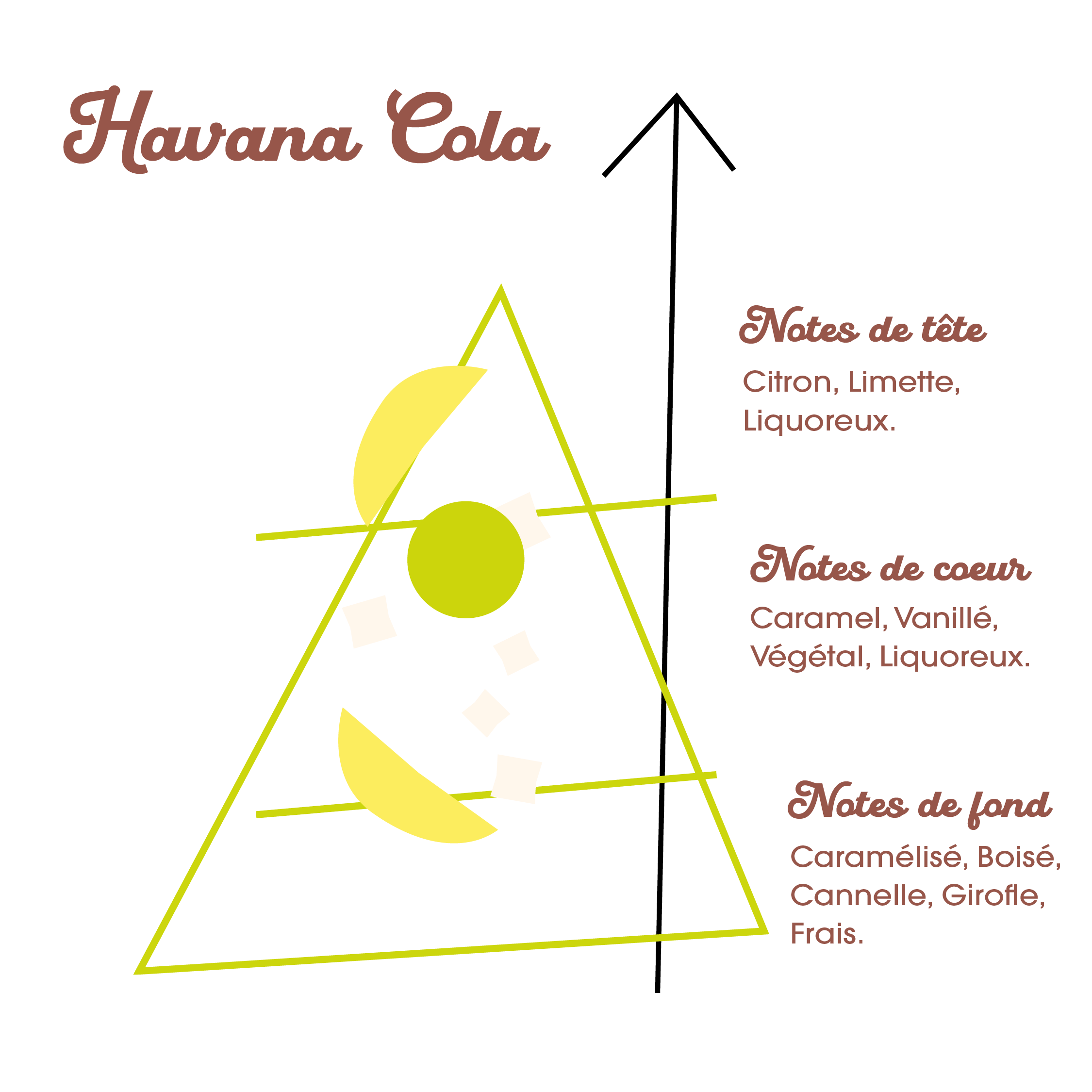 Pyramide Olfactive Azure Lagoon.png