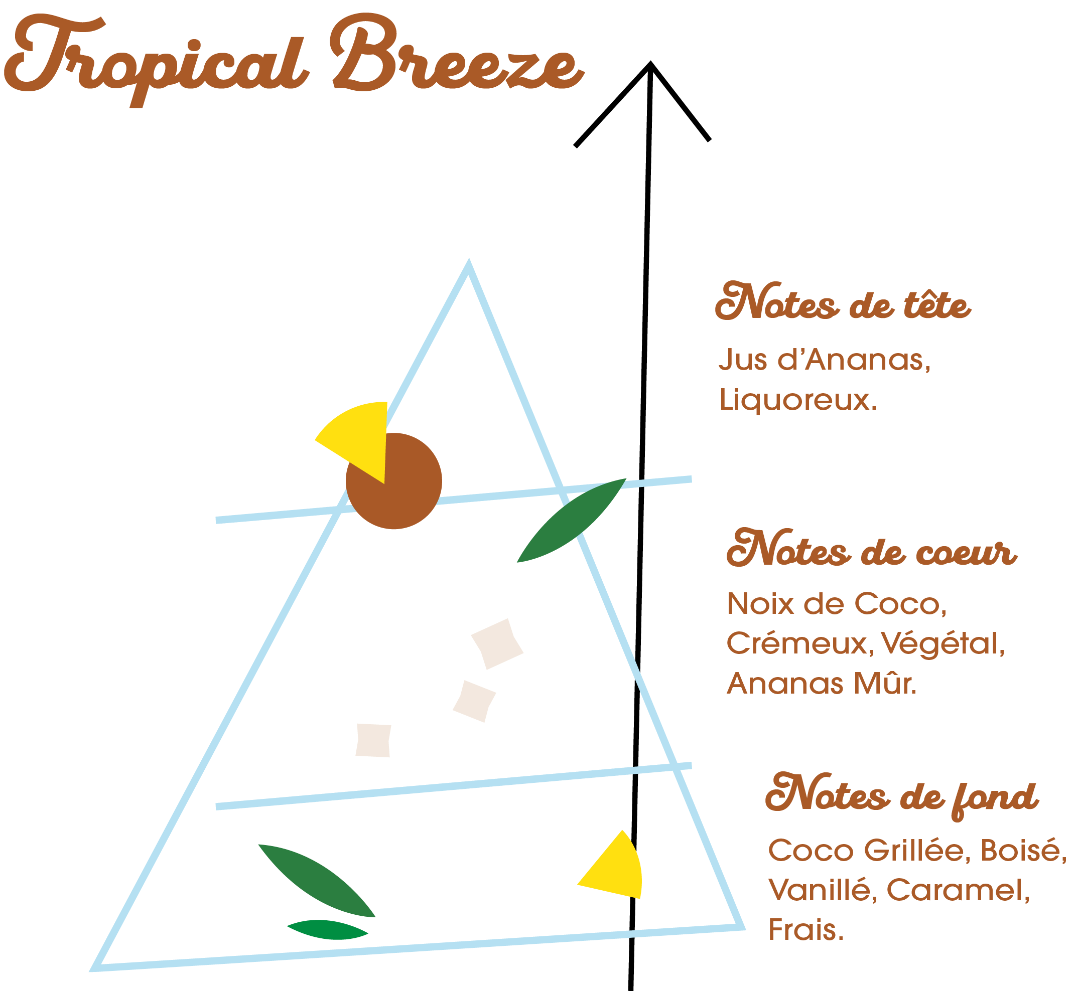 Pyramide Olfactive Azure Lagoon.png