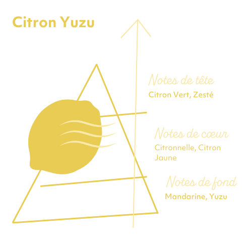 Pyramide Olfactive Souffle Frais.png