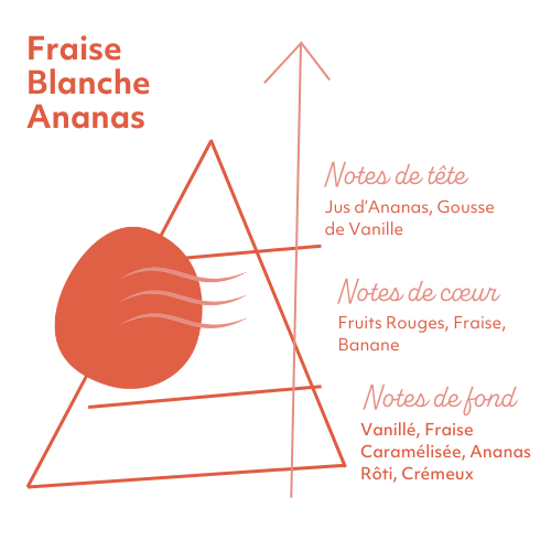 pyramide-olfactive-7-pechers-avarice.jpg