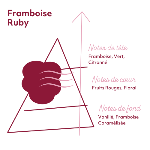 pyramide-olfactive-7-pechers-avarice.jpg