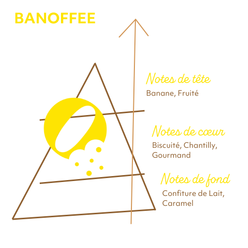 Pyramide Olfactive Banoffee