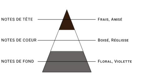 pyramide-olfactive-7-pechers-avarice.jpg