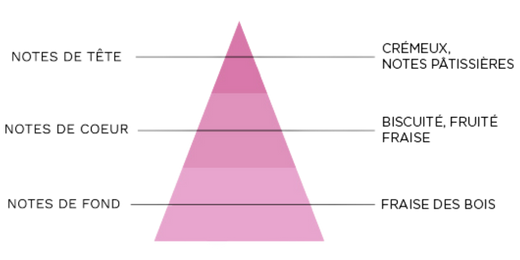 pyramide-olfactive-7-pechers-avarice.jpg