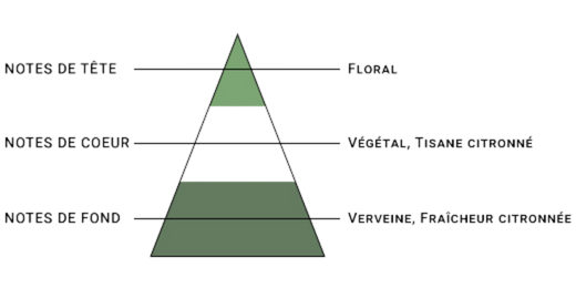 pyramide-olfactive-7-pechers-avarice.jpg