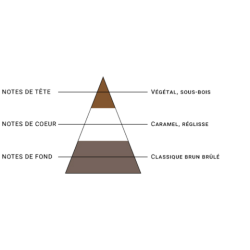 SEL DE NICOTINE BLOND BOISE
