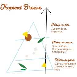 TROPICAL BREEZE 50ML