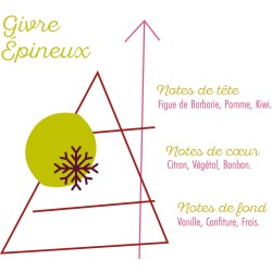 GIVRE EPINEUX 50ML