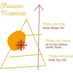 FRISSON TROPICAL 50ML