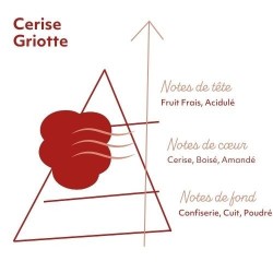 CERISE GRIOTTE 50ML