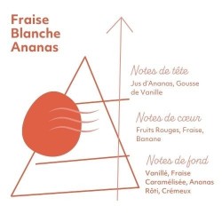 FRAISE BLANCHE ANANAS