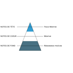 MIX & VAPE - MENTHE GLACIALE