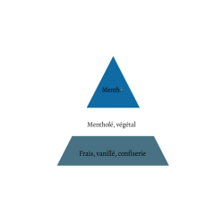 MIX & VAPE - MENTHE EXTREME