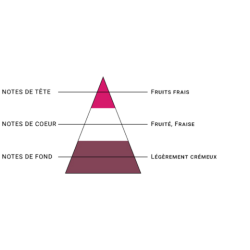 MIX & VAPE - FRAISE GARIGUETTE