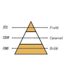 SEL DE NICOTINE BLOND DOUX