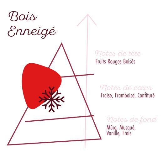 Pyramide Olfactive Souffle Frais.png