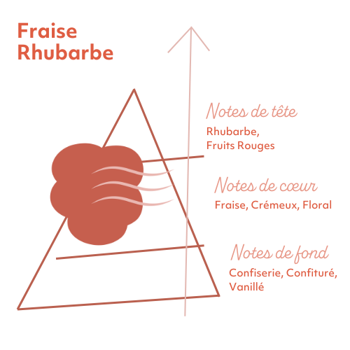 pyramide-olfactive-fraise-rhubarbe