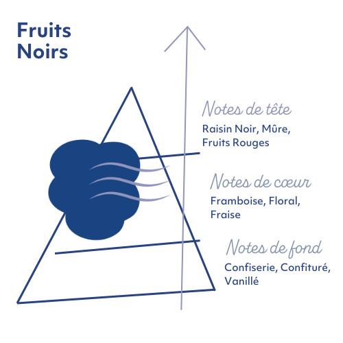 pyramide-olfactive-fruits-noirs