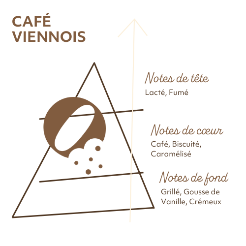 Pyramide Olfactive Café Viennois