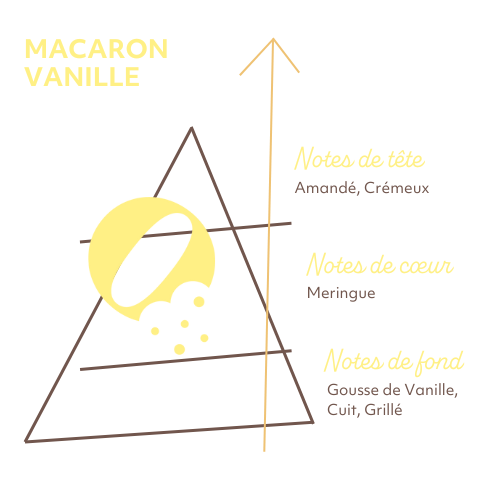 Pyramide Olfactive  Macaron Vanille