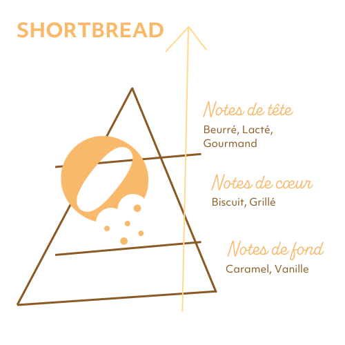 Pyramide Olfactive Shortbread